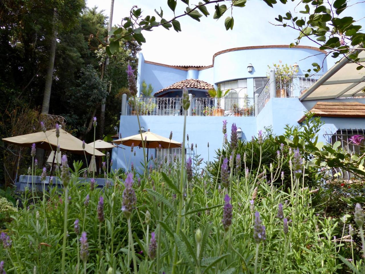Hotel Casa Carly à San Miguel de Allende Extérieur photo